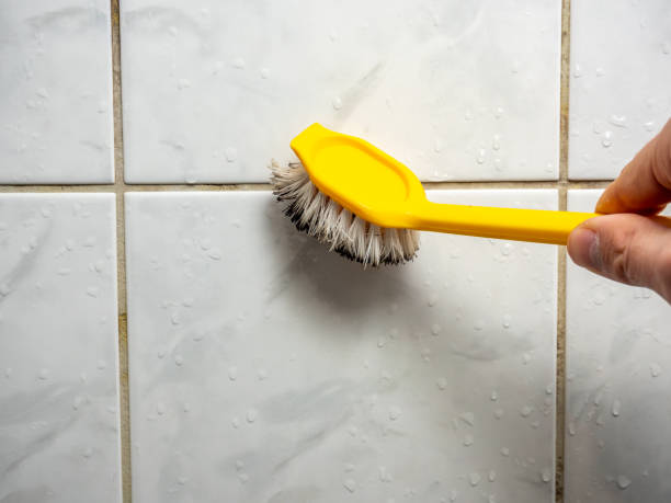 Best Residential Mold Removal  in Rapid Valley, SD