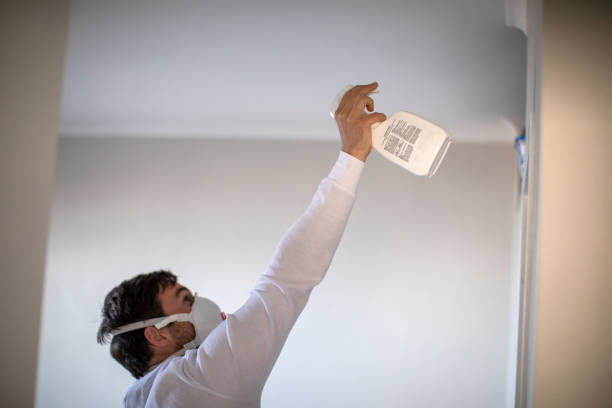 Best Best Mold Removal Companies  in Rapid Valley, SD