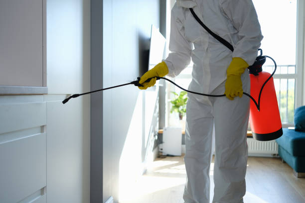 Best Professional Mold Removal  in Rapid Valley, SD