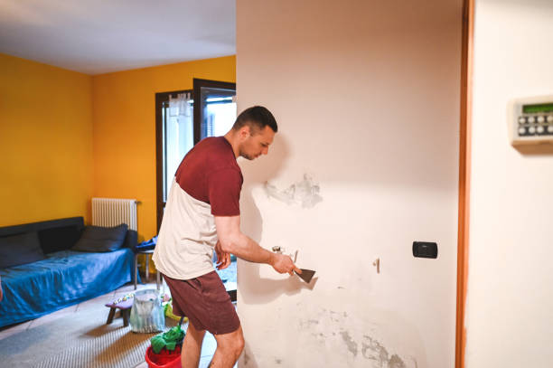 Best Emergency Mold Removal  in Rapid Valley, SD
